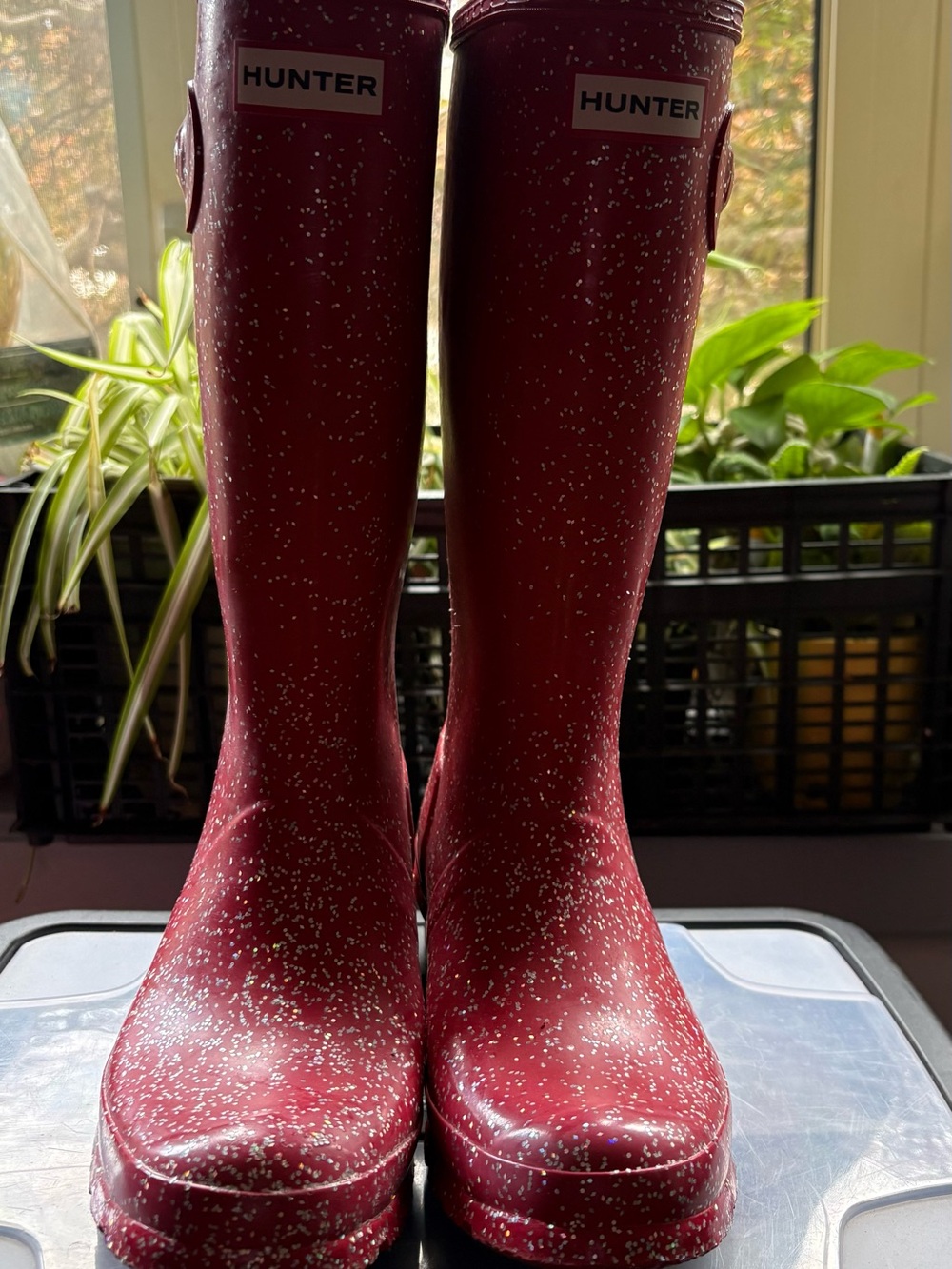 Hunter Women's Burgundy Speckled Tall Rain Boots
